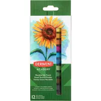 Derwent Pastellfarbe Soft Pastels Mehrfarbig, 12 Stück