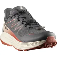 Salomon SHOES ALPHARIDE 2 GTX Asphal/Arabia/Rain 000 000 42.5