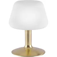 Paul Neuhaus Nachttischlampe Till, dimmbar, messing / gold, für Wohn- / Esszimmer, Metall, Modern, Tischlampe