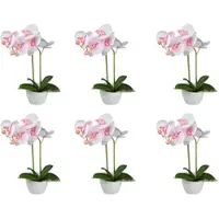 Creativ Green künstliche Pflanze Phalaenopsis, 33 cm, "Real Touch", 6er Set
