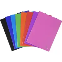 Exacompta 8840E 10x Sichtmappe aus PP 500μ mit 40 glatten Hüllen OPAK, transparent, für Format DIN A4 - Farben sortiert