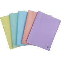 Exacompta 88470E 10x Sichtmapppen A4, PP mittelstark, 40 Hüllen, Chromaline Pastell - Farben sortiert