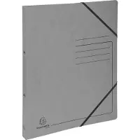 Exacompta 542561E 10x Ringhefter 2 Ringe 15mm, Colorspan-Karton bedruckt - A4 - Grau