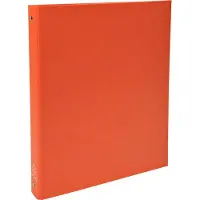 Exacompta Ringbuch 4 Ringe Kaschierter Karton PP DIN A4 Orange 20 Stück
