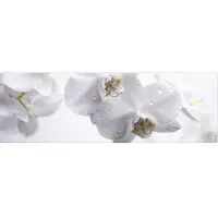 MySPOTTI Badrückwand aqua Aqua orchid 140x45 cm