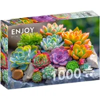 Enjoy Puzzle Sukkulenten Puzzle 1000 Teile