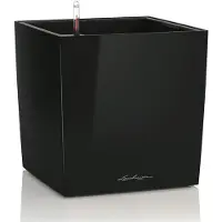 Lechuza Cube