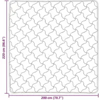 vidaXL Ganzjahresbettdecke Gepolstert Schwarz 200 x 220 cm
