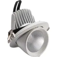 Silamp Spot LED Rond Encastrable Orientable COB Blanc 30W - Blanc Froid 6000K - 8000K