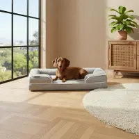 Belviona Memoryfoam Hundebett orthopädisch, gelenkschonend & wasserabweisend mit abnehmbaren Bezug, 89x63x17 cm