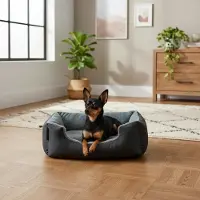Belviona Hundebett mit kuscheligem Wendekissen, pflegeleicht & rutschfest, gemütlicher Schlafplatz, 50x37 cm, schwarz/grau