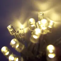 Nipach LED Lichterkette 100er warmweiß Kabel transparent 10m Timer aussen BA11692