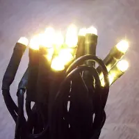 Nipach 50er LED Ein-Strang-Lichterkette warmweiß-grün Nexos SC00033