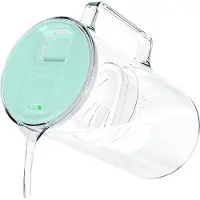 Wessper D2 BOROSILICATE futureflow Wasserfilterkanne 3 L Minze – mit AquaMax Filter