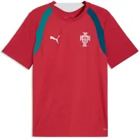 Puma FPF Training Jersey club red-silver mist (16) XL