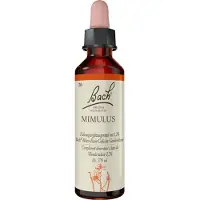 Bach Bachblüten Mimulus Tropfen 20 ml