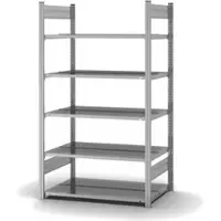 Proregal Aktenregal Stecksystem T-Profil Grundregal HxBxT 175 x 100 x 60 cm 5 Ebenen Fachlast 90 kg Beidseitig Nutzbar Verzinkt