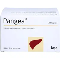 Köhler Pharma GmbH Pangea Kapseln 120 St