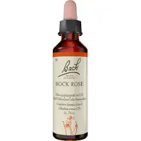 Bach Bachblüten Rock Rose Tropfen
