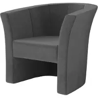 Mirjan 24 Sessel Niko, Relaxsessel, Elegant Armsessel, Fernsehsessel, Sitzmöbel (Farbe: Kronos 22)
