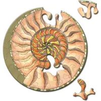 Curiosity Games Rundpuzzle Picoli: Schnecke 33 Puppen