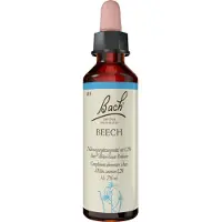 Bach Bachblüten Beech Tropfen