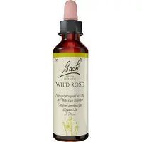 Bach Bachblüten Wild Rose Tropfen