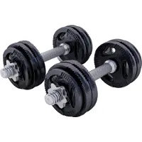 Gorilla Sports Kurzhanteln - 30kg, 2er Set, 4x1,25kg, 8x2,5kg Gewichte, Gusseisen Hantelscheiben, 30mm, mit 4 Sternverschlüssen, Griff gerändelt, Rutschfest, Schwarz - Hantelset, Kurzhantelset