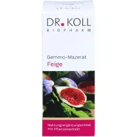 Dr. Koll Knospenmazerate Gemmomazerat Feige Bio 50 ml Tropfen