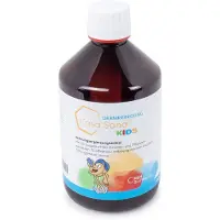 HLH BioPharma GmbH Casa Sana DARMREINIGUNG KIDS, 500 ml FLE