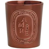 Diptyque Kerze Bernstein 600 g