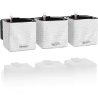 Lechuza 'Green Wall Home Kit Color', weiß, ca. 48 x 15 x H 14 cm