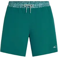 O'Neill Herren Badeshorts POCKET PRINT 16" SWIMSHORTS