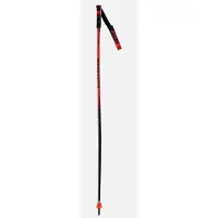 Rossignol Hero Gs-sg Stöcke