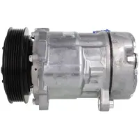 Delphi TSP0159381 Sanden SD7V16 Klimaanlage Klimakompressor PAG 46 für VW Transporter IV Bus (70B, 70C, 7DB, 7DK, 70J, 70K, 7DC, 7DJ)