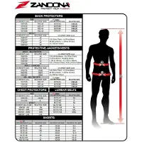 Zandona Cross Nierengurt