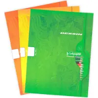 Clairefontaine Calligraphe 25x CHEV Schlampermappchen FLACH - Sortiert 553C