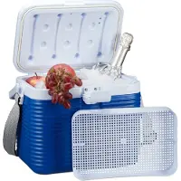Relaxdays kleine Kühlbox, mit Griff, Tragegurt, Kunststoff Kühltasche, ohne Strom, 8 l, HBT 23,5 x 31 x 21 cm, weiß-blau