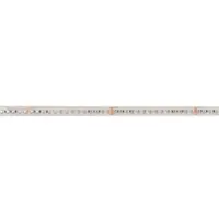 Deko-light LED Stripe Long Run SMD IP20 48V 10W 550lm/m RGB 5m