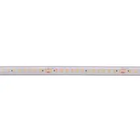 Deko-light LED Stripe Long Run SMD IP67 48V 10W 1180lm/m 4000K 5m Silikon