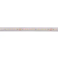 Deko-light LED Stripe Long Run SMD IP67 48V 10W 1120lm/m 3000K 5m Silikon