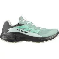 Salomon Alphaglide Gore-tex Trailrunning-schuhe