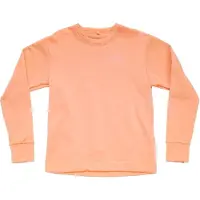 Devold Everyday Sweatshirt