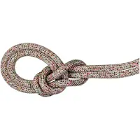 Mammut Alpine Core Protect Dry 8 Mm Seil Sortiert