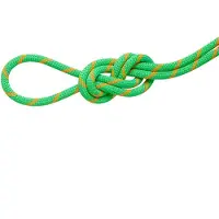 Mammut 8.0 Mm Alpine Dry 30 M Seil Sortiert