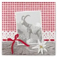 Sovie HORECA Serviette Alma aus Linclass Airlaid 40 x 40 cm, 50 Stück - Alm Landhausstil Karos
