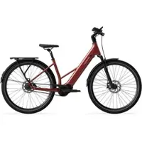 Tenways Elektrofahrrad AGO Air Belt