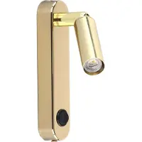 Licht-Erlebnisse Wandleuchte Metall verstellbar in Gold G9 Modern Wandspot