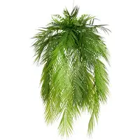 Creativ Green Kunstpflanze "Palmwedel auf Mooskugel", grün, H:100cm Ø:50cm, Kunststoff, Kunstpflanzen, Kunstpflanze, mit üppigen Palmwedeln