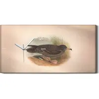 Coloray Wandkunst Leinwand Bild Uhr Geräuschlos 60x30 Vögel Wild Tiere Zeichnung Kunst - weiße Hände